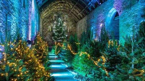 A magical winter woodland in the Great Barn at Buckland Abbey